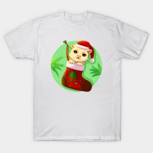 Cat Christmas Socks T-Shirt